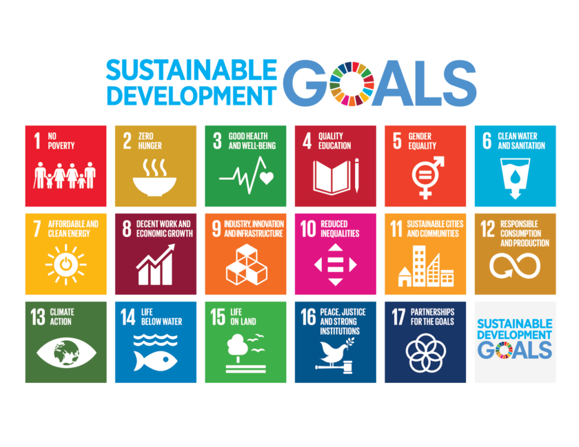 Überblick über die Sustainable Development Goals